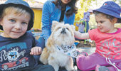 Teaching young people responsible pet ownership